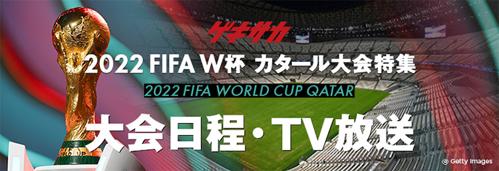 なでしこジャパンワールドカップテレビ放送の魅力